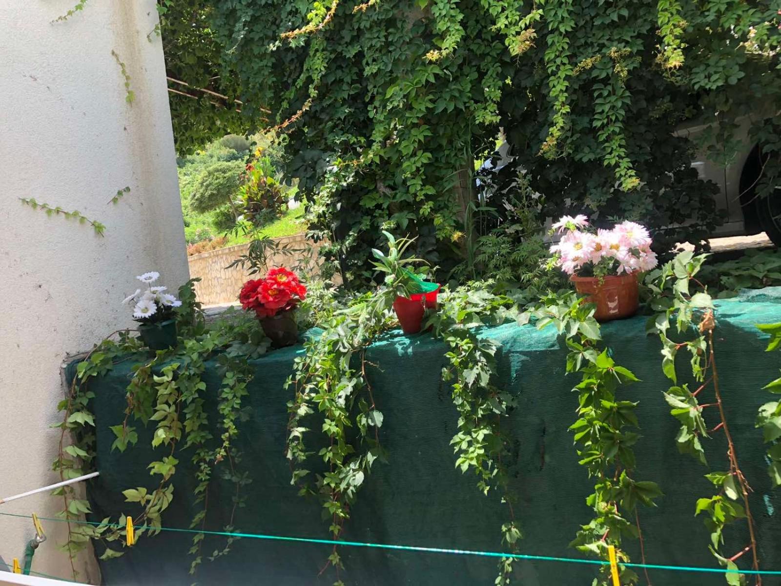 Becic Apartments Ülgün Dış mekan fotoğraf